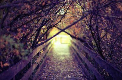 ​简短的正能量励志语句摘录35条