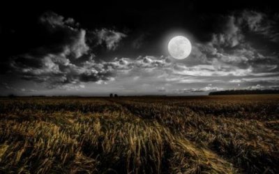 ​形容工作积极的句子（形容努力工作的句子）