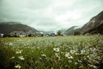 ​工作正能量短句励志 努力变优秀的简短句子