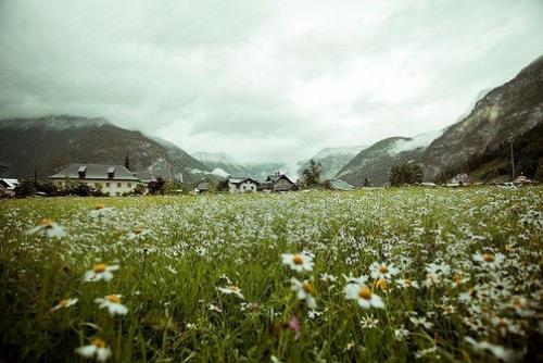 工作正能量短句励志