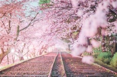 ​早安语录励志简短语句 励志语录经典短句