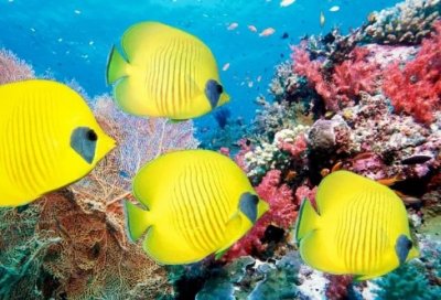 ​天使之城经典台词，我们注定彼此相属