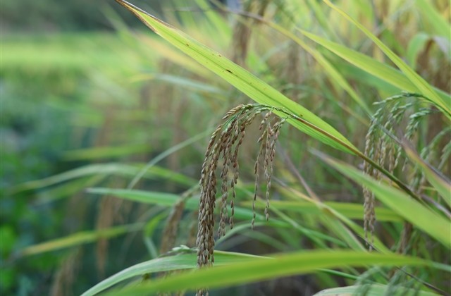 鼓励学生的话语和激励话