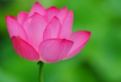 ​惜时的名言警句