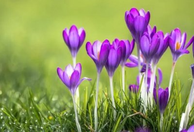 ​精选珍惜生命的名言149句