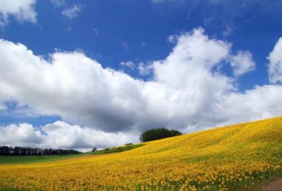 ​名言警句挫折