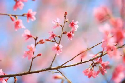 ​励志唯美经典短句 文案