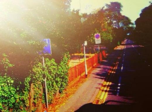 唯美的励志句子摘抄