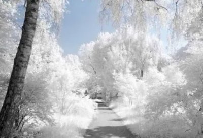 ​感恩祖国的名言警句