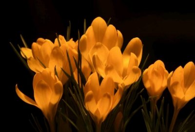 ​教师名言警句