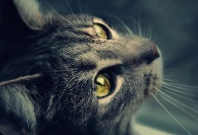 ​名人励志格言大全