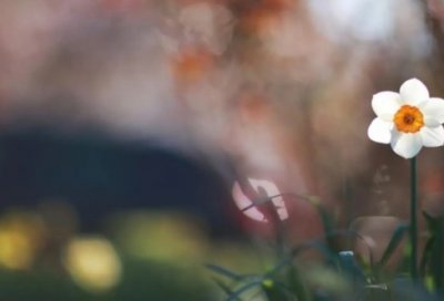 ​关于诚信的名言