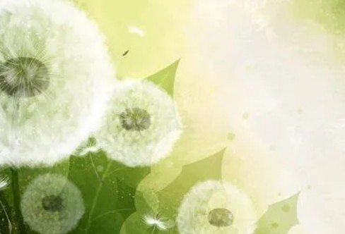 1710205732280136.png image.png