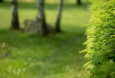 ​西点军校名言