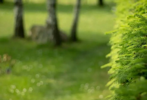 1710205899486259.png image.png