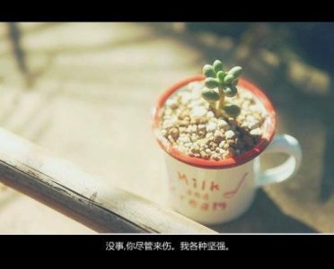 ​经典高考励志名言集锦