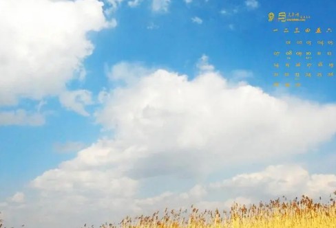 1710216568951432.png image.png