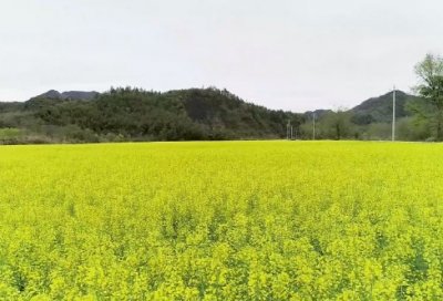 ​道德名言名句