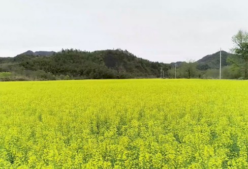 1710217570118092.png image.png