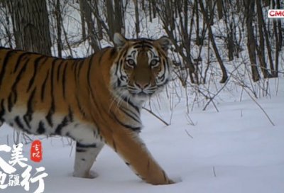 ​高考名言警句