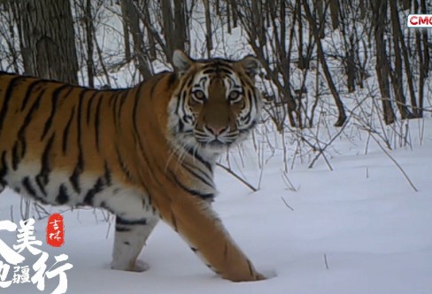 1710218237919804.png image.png