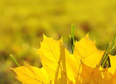 ​古文励志的句子经典