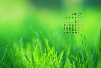 ​关于爱护环境的名言警句