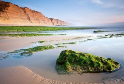 ​关于错误的名言