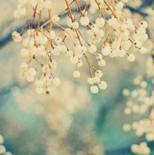 励志语录早安晚安心语