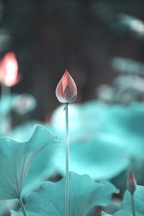 凌晨三点发的说说带图