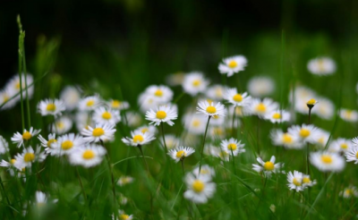 ​人生挫折磨难的句子 经历生活的磨难的句子