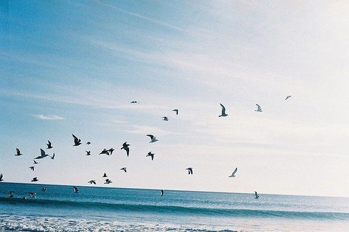 减肥的说说励志的话 鼓励自己减肥的话(90句)