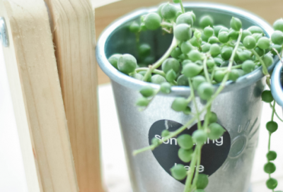 ​梦想励志的句子简洁