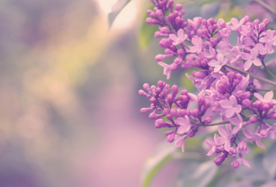 ​励志的人生哲理的句子