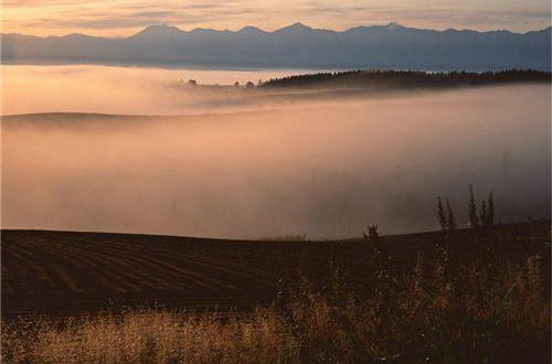 有关于下雪伤感的句子