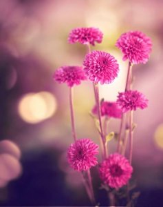 ​雨天伤感关于咖啡语录