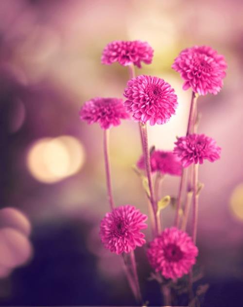 雨天伤感关于咖啡语录