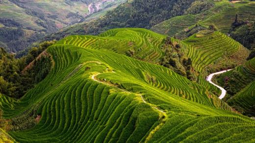 雨天伤感关于咖啡语录