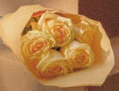 ​抖音最火的伤感句子摘录40条