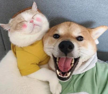 简单的微信伤感句子摘录35条