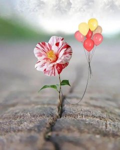 ​一个人感到孤独的心酸句子（伤感催泪看完想哭）