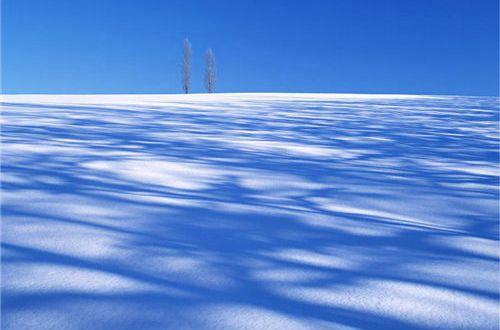 常用形容心情伤感的句子36条