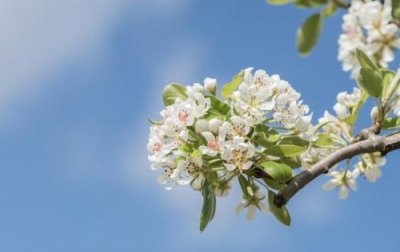 ​唯美的伤感句子短句