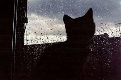 ​简短的生活伤感句子39条