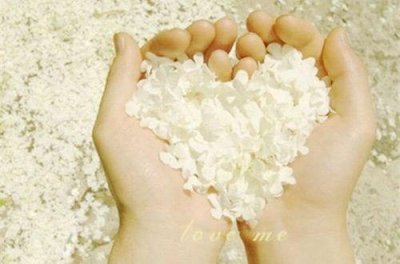 ​关于初雪的伤感句子32句