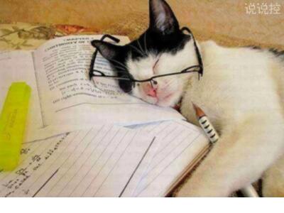 有点悲伤的心情语录