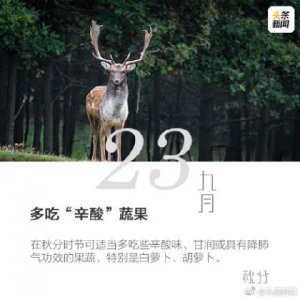 ​描写时间流逝的排比句 伤感的句子