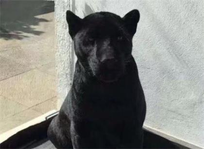 伤心的句子说说心情