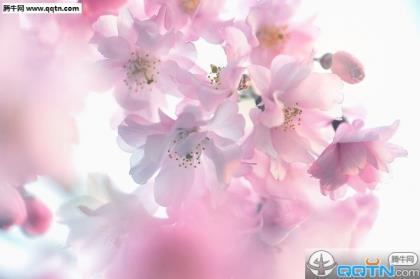 个性签名伤感语句