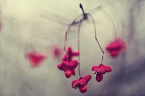 抖音烟消云散的伤感句子